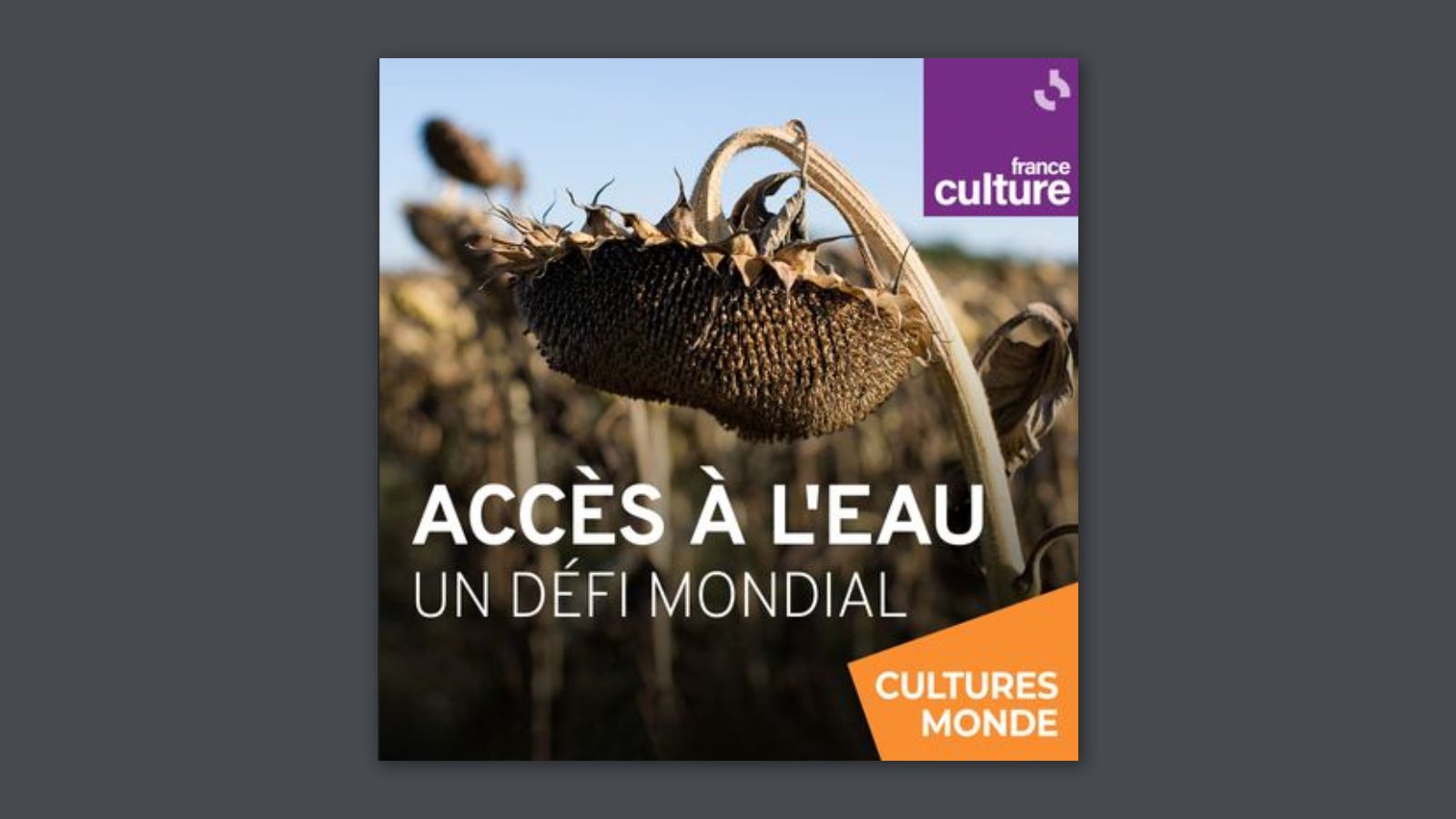 Podcast Acc S Leau Un D Fi Mondial Creseb Bretagne