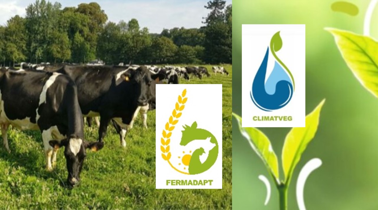 Fermadapt Et ClimatVeg. Actions Engagées Pour L’adaptation De L ...